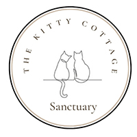 Featured Nonprofits
